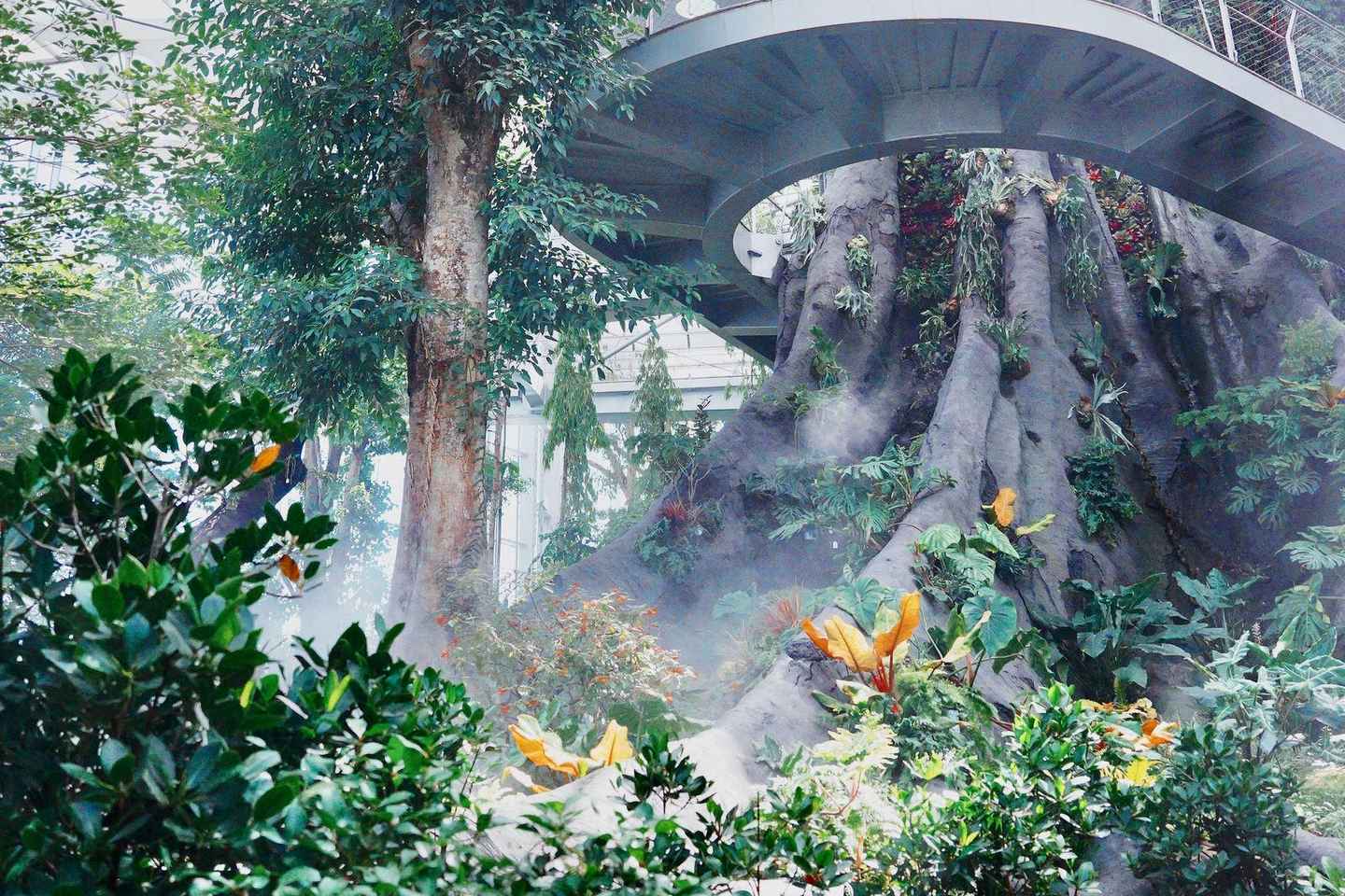 Avatar Rainforest in Shanghai -Greenhouse Garden Ticket