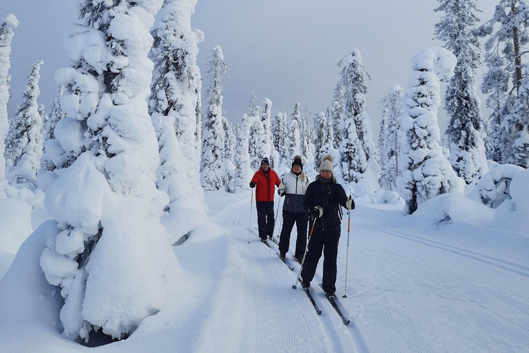 Lapland Levi : Ski de fond pour débutants