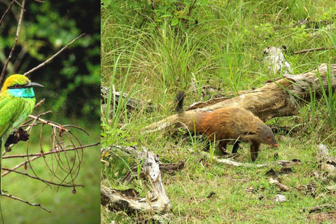 Wilpattu National Park Private Safari Jeep Tour Tour Starting Colombo/Negombo/Kandy Area