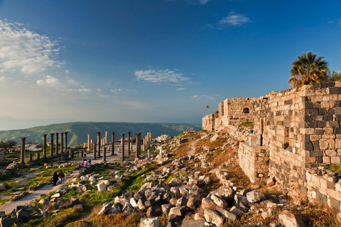 Private or Group: Jerash, Ajloun Castle & Umm Qais day Tour Sharing/Group: Jerash, Ajloun &Umm Qais (10 H)