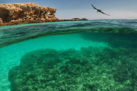 Muscat: Dimaniyat eiland snorkelen excursieHele dag Dimaniyat Eiland Tour