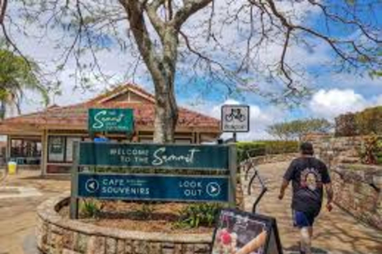 Brisbane: City Tour with Koala Sanctuary