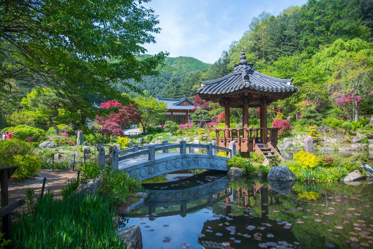 Seoul: Nijimori Japan(Day) & Nami Island & Korean Garden From Hongik Univ. Station Exit 4