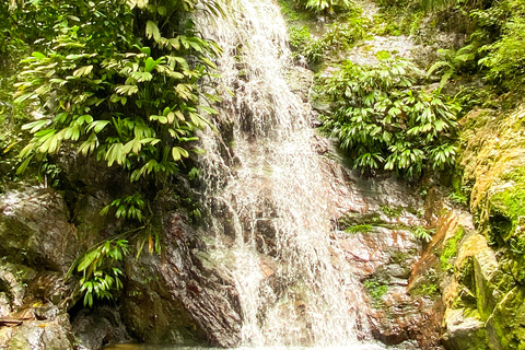 Minca: Sunrise Tour at the Viewpoint with a Local Guide, Cocoa, and a Waterfall Departure from Minca: Sunrise Tour at the Viewpoint, Cocoa, and Waterfall