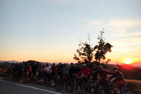 Gavi: E-Bike Tour with Wine Tasting