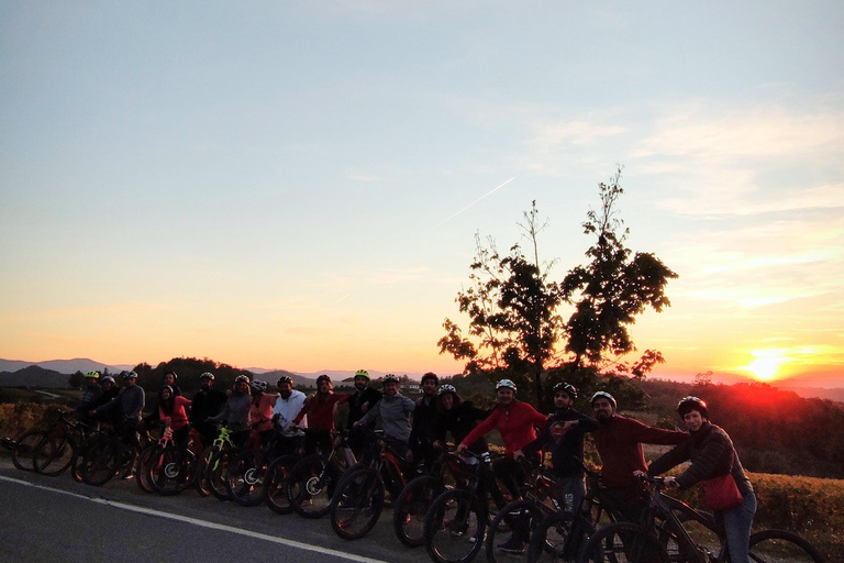 Gavi: E-Bike Tour with Wine Tasting
