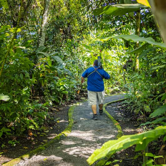 La Fortuna: Sloth Tour in Arenal Volcano Park & Local Snack