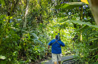 La Fortuna: Faultier-Tour im Vulkanpark Arenal & lokaler Imbiss