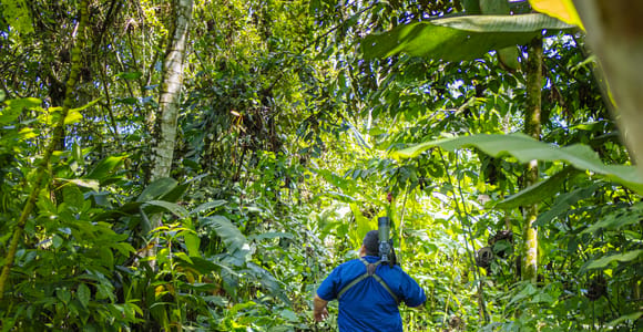 La Fortuna: Sloth Tour in Arenal Volcano Park & Local Snack