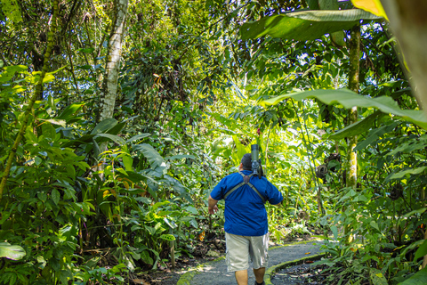 La Fortuna: Sloth Tour i Arenal Volcano Park &amp; Lokalt Snack