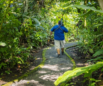 La Fortuna: Sloth Tour in Arenal Volcano Park & Local Snack