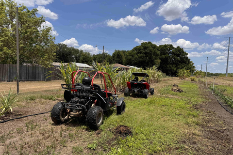 Bamboo Dune Buggy Tour