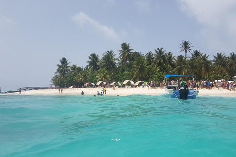 SAN ANDRES: BOAT TRANSFER + JOHNNY CAY + JOHNNY CAY SAN ANDRES: BOAT TRANSFER + JOHNNY CAY