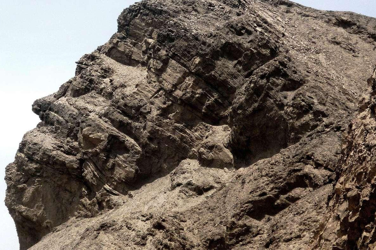 Da Ica: Tour archeologico di Nazca