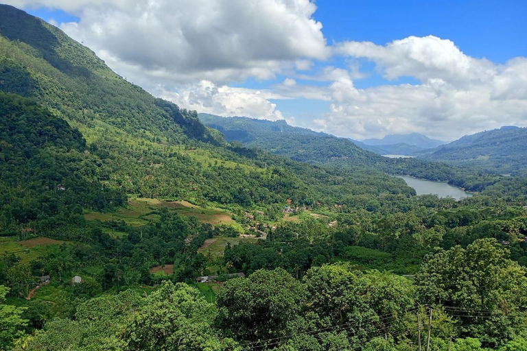 Colombo to Kandy Full-Day Private Tour Experience