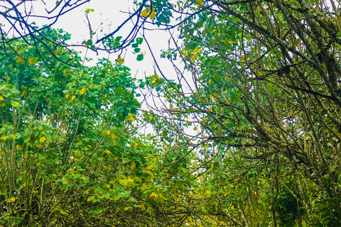 4-Day Galapagos Essential Budget Tour