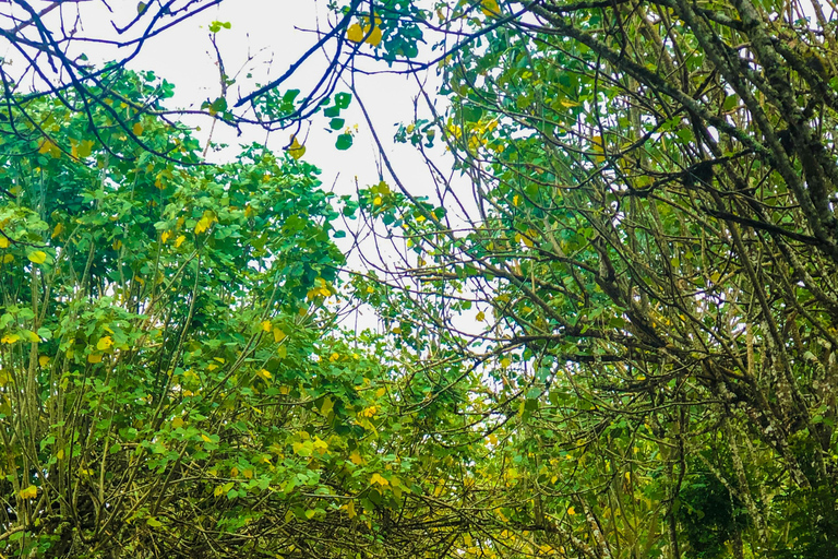 4-Day Galapagos Essential Budget Tour