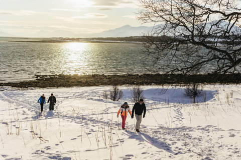 Tromsø : Visite des paysages arctiques et des fjords avec collations