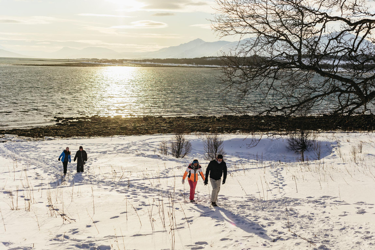 Tromsø: Paisagem ártica e passeio pelos fiordes com lanches