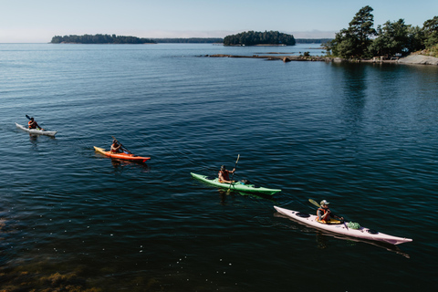 Helsinki: Excursión guiada en kayak por el archipiélago oriental de Helsinki