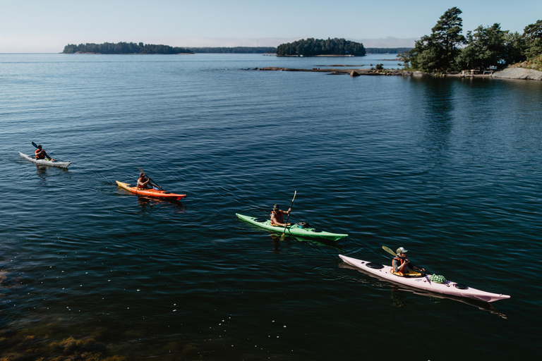 Helsingfors: Guidad tur i kajak i Helsingfors östra skärgård