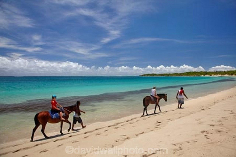 Natadola Beach Tour With Mudpool And Hotspring Lautoka Hotels / Queen Elizabeth docking (Lautoka Wharf)