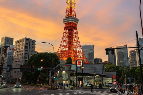 Tokyo: Private City Highlights Tour with Local Guide