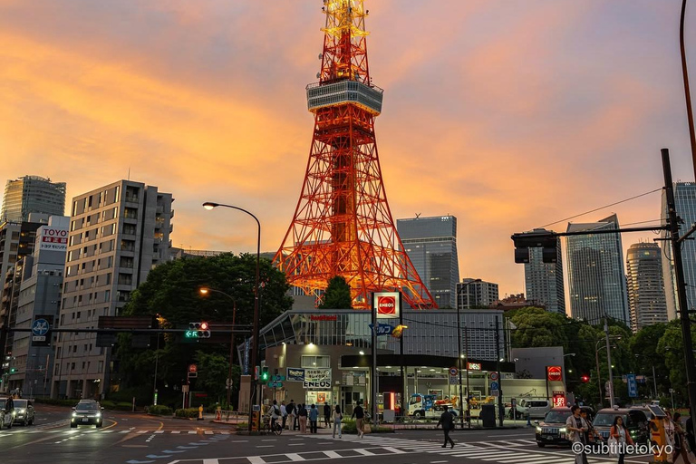 Tokyo: Private City Highlights Tour with Local Guide