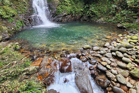 Au départ de Hue/Da Nang : Randonnée de luxe dans le parc national de Bach MaDe Da Nang : Parc national de Bach Ma