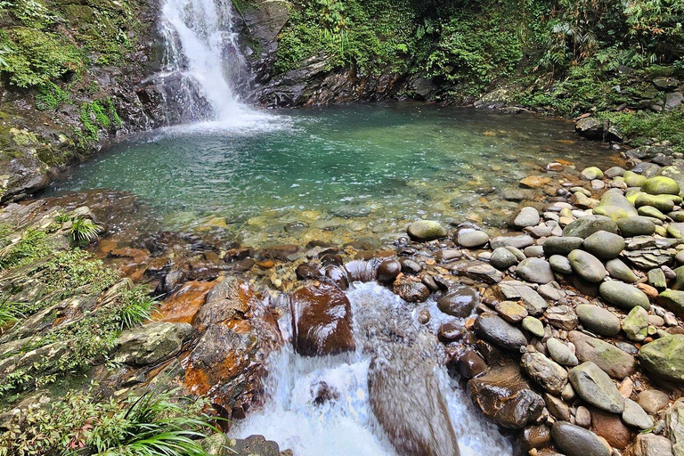 From Hue/Da Nang: Bach Ma National Park Luxury Trekking TourFrom Da Nang : Bach Ma National Park