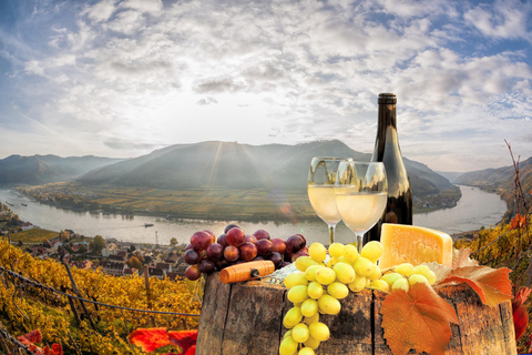 Vienna: Tour del Bosco Viennese con lago sotterraneo e vino