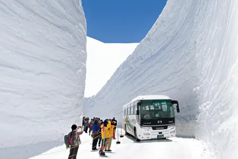 Ruta alpina privada Tateyama-Kurobe con guía en inglés