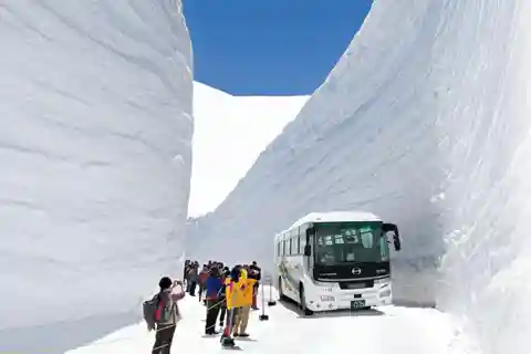 Private Tateyama-Kurobe Alpine Route with English Guide