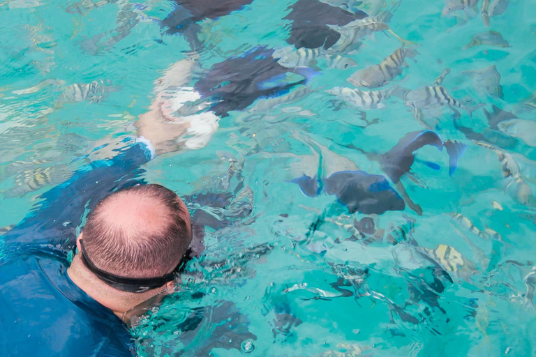 Cartagena: Rosario Oceanarium, Snorkel & Swim with Dolphins Cartagena: Rosario Islands Tour with Oceanarium & Snorkeling