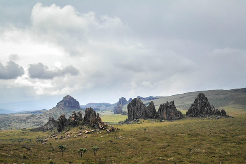 Aberdare National Park: Mount Satima Overnight Hike