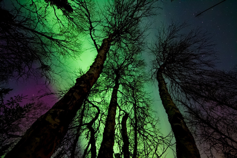 Caza de auroras boreales con ProCamera : Recorrido largo