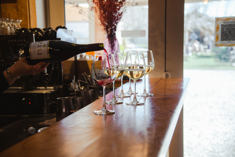 Passeio de helicóptero para degustação de vinhos em Queenstown