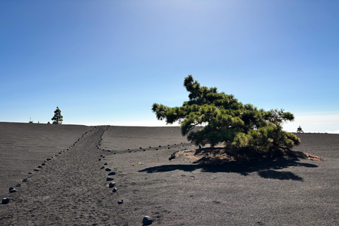 La Palma: Hike with me to the Tajogaite Volcano La Palma: Hike with Me to the Tajogaite Volcano