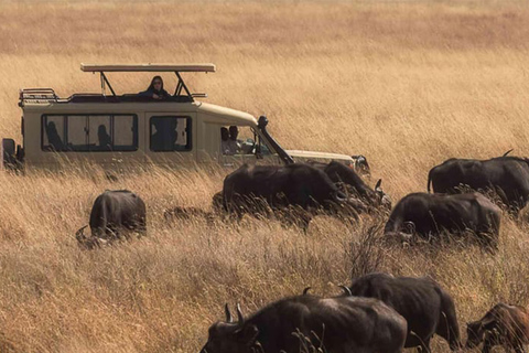 Tanzanie : forfait aventure d&#039;un an avec ascension du Kilimandjaro
