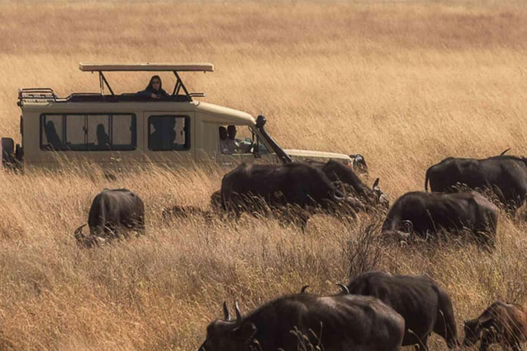Tanzanie : forfait aventure d&#039;un an avec ascension du Kilimandjaro
