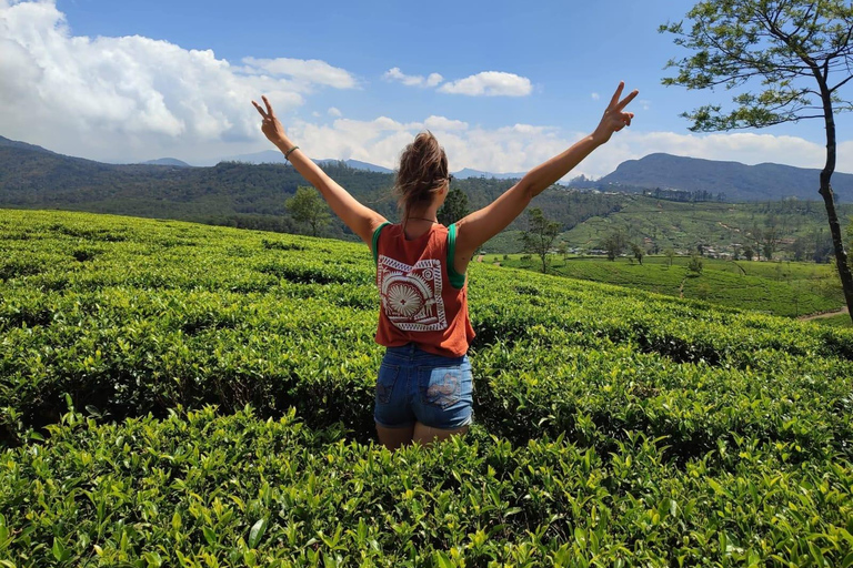 Labookellie Tea Factory: Exclusive Tea Cake & Tea Tasting