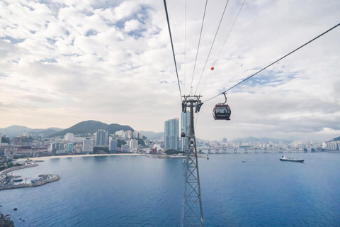 Excursão a Busan: Carro de táxi público Fretamento particularPasseio de táxi em Busan 5 horas