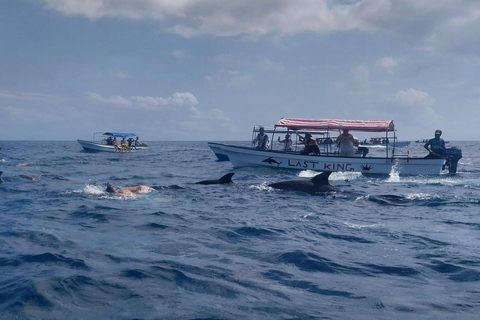 Zanzibar: Snorkeltrip naar Mnemba eiland vanuit Nungwi