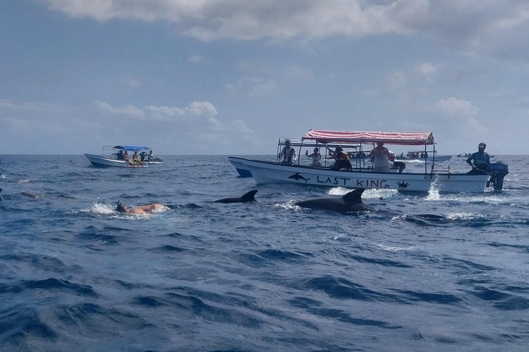 Zanzíbar: Excursión de snorkel a la isla de Mnemba desde Nungwi