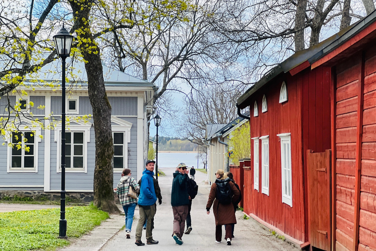 Da Helsinki: Rovine del castello di Raasepori e centro storico di Ekenäs