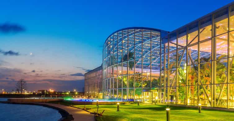 Bucuresti: Therme Bucharest Evening Entry Ticket & Transfer photo 8