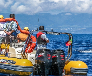 Açores : Observation des baleines et excursion en bateau sur un îlot