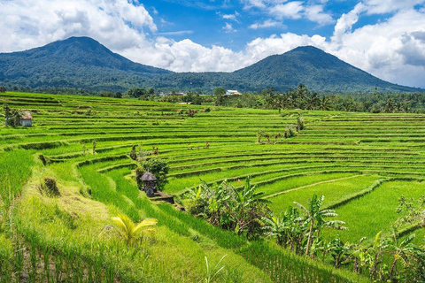 Bali: North Bali Waterfalls Private Tour with Guide