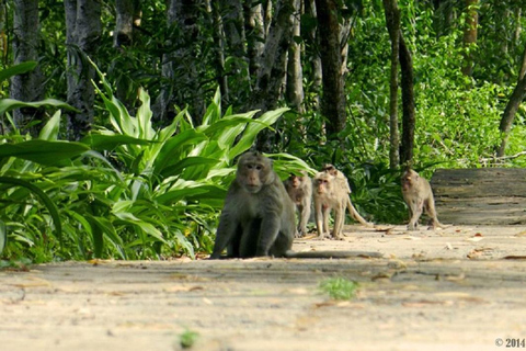 Visite d&#039;une jounée de la forêt de mangroves de Can Gio et de l&#039;île aux singes