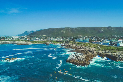 From Cape Town: Hermanus Whale Watching Full Day Tour default